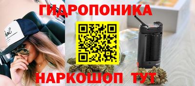 сатива Будённовск