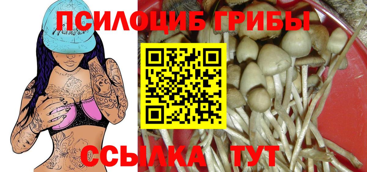 Галлюциногенные грибы Psilocybe  Вход с VPN  Усолье-Сибирское 