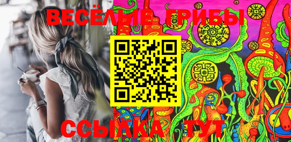 Псилоцибиновые грибы Psilocybine cubensis Усолье-Сибирское